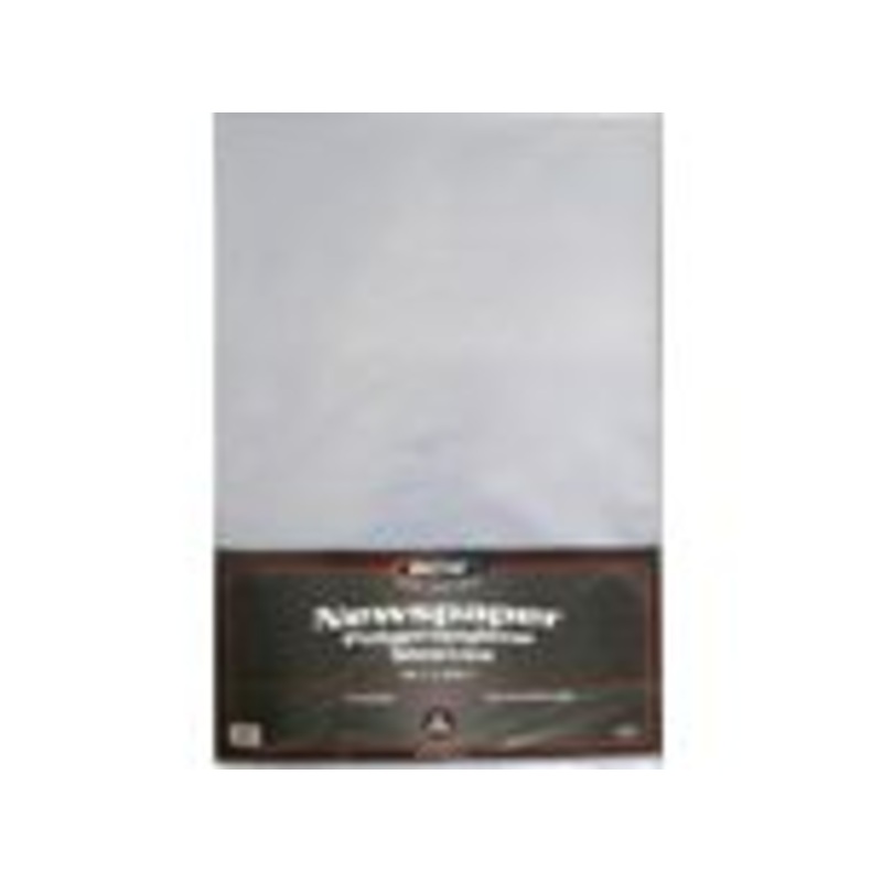 BCW - Newspaper Polypropylene Sleeves - 12 1-8 x 19 1-8