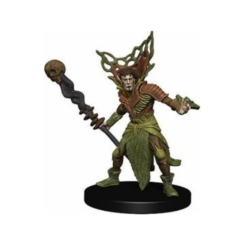 Wizards of the Coast - Dungeons and Dragons - Icons of the Realms 10 - Guildmasters Companion Starter 1