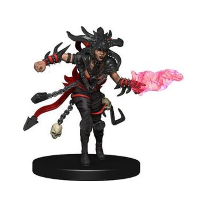 Wizards of the Coast - Dungeons and Dragons - Icons of the Realms 10 - Guildmasters Companion Starter 2