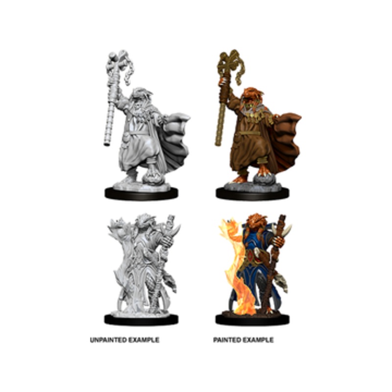Wizkids - Dungeons and Dragons - Unpainted Miniature - Nolzurs Marvelous Miniatures - Female Dragonborn Sorcerer - 73674