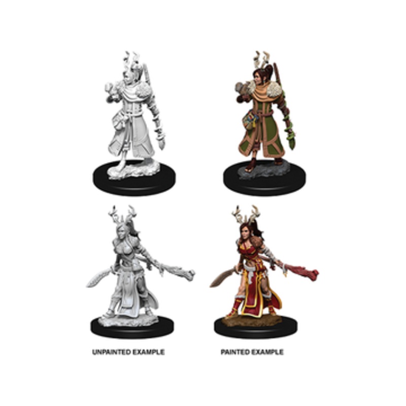 Wizkids - Dungeons and Dragons - Unpainted Miniatures - Nolzurs Marvelous Miniatures - Female Human Druid - 73701