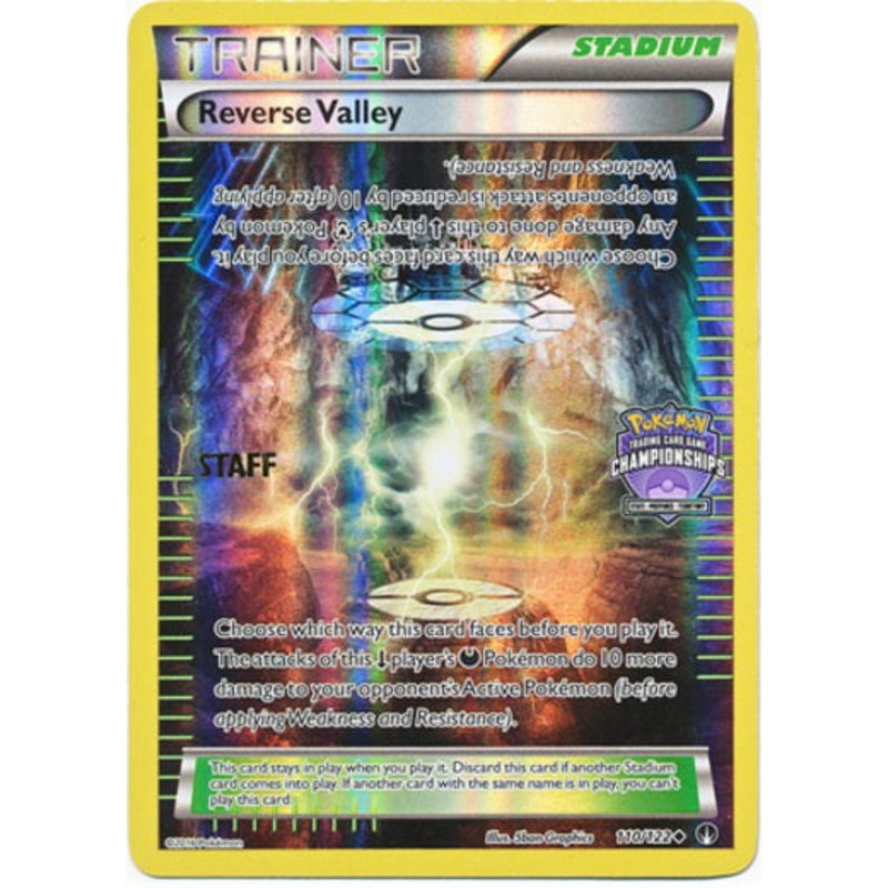 Reverse Valley (110/122) (Championship Promo Staff) [XY: BREAKpoint]