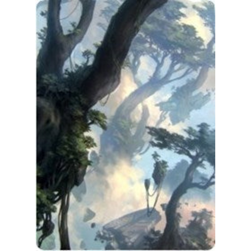 Forest 1 Art Card [Zendikar Rising Art Series]