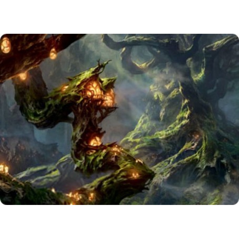 Forest Art Card [Strixhaven: School of Mages Art Series]