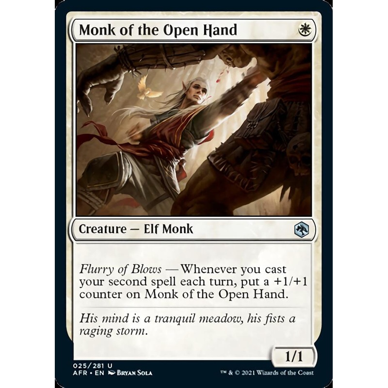 Monk of the Open Hand [Dungeons & Dragons: Adventures in the Forgotten Realms]