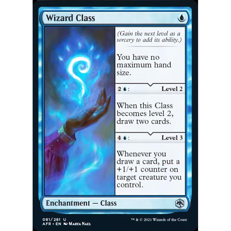 Wizard Class [Dungeons & Dragons: Adventures in the Forgotten Realms]
