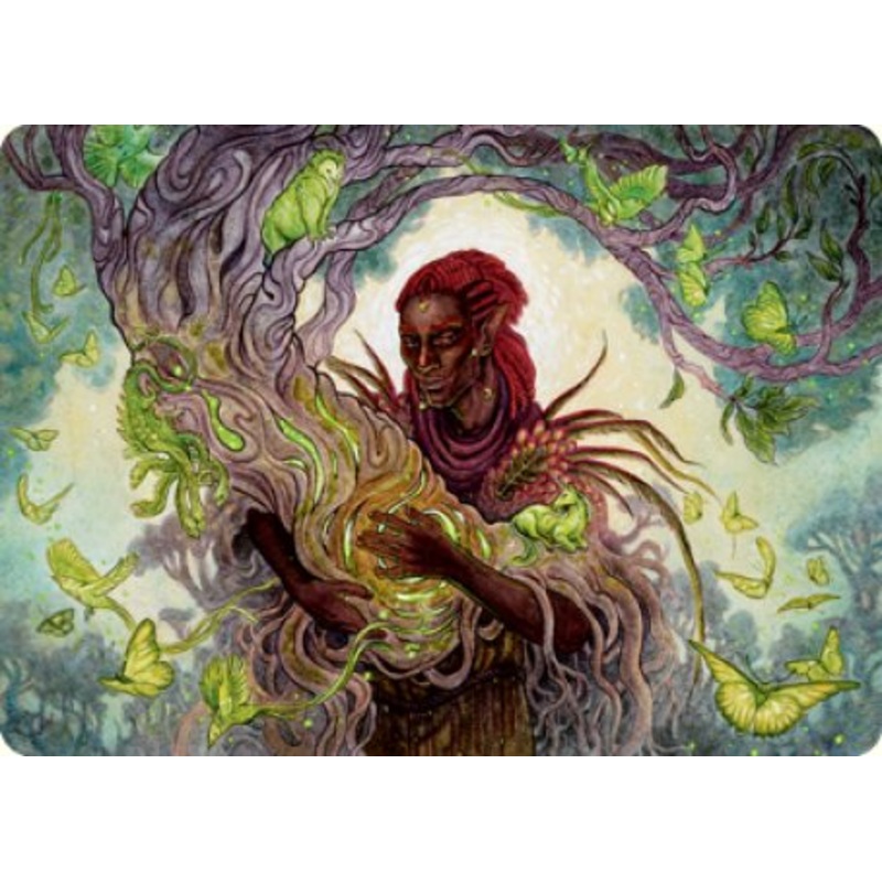 Circle of Dreams Druid Art Card [Dungeons & Dragons: Adventures in the Forgotten Realms Art Series]