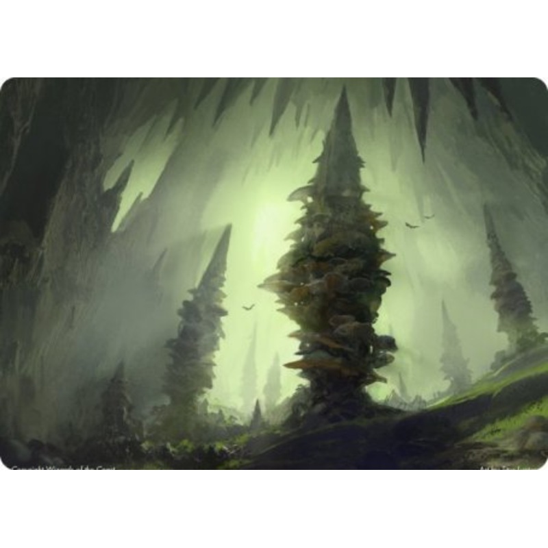 Forest (280) Art Card [Dungeons & Dragons: Adventures in the Forgotten Realms Art Series]