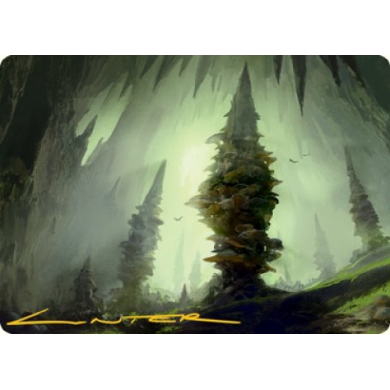 Forest (280) Art Card (Gold-Stamped Signature) [Dungeons & Dragons: Adventures in the Forgotten Realms Art Series]