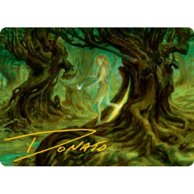 Neverwinter Dryad Art Card (Gold-Stamped Signature) [Dungeons & Dragons: Adventures in the Forgotten Realms Art Series]