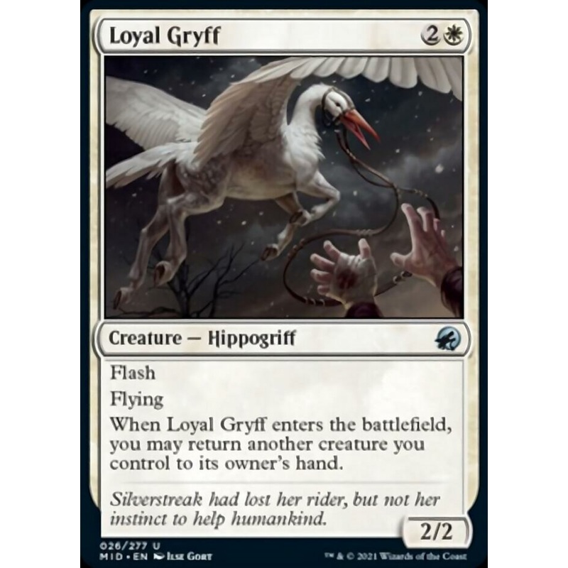 Loyal Gryff [Innistrad: Midnight Hunt]