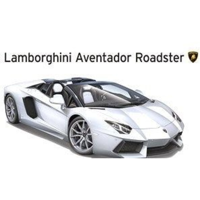 Aoshima 12 Lamborghini Aventador Roadster (Damage box)